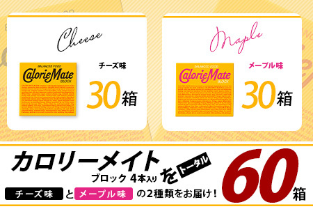 【大塚製薬】カロリーメイト ブロック 4本入り チーズ味30箱＋メープル味30箱［徳島 那賀 カロリーメイト チーズ メープル ビタミン ミネラル たんぱく質 脂質 糖質 5大栄養素 バランス栄養食 栄養補給 仕事 勉強 スポーツ 防災 災害 地震 非常食 常備食 備蓄 受験 受験応援 新生活 大塚製薬］【MS-4-4】