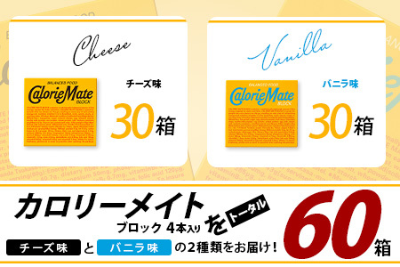 【大塚製薬】カロリーメイト ブロック 4本入り チーズ味30箱＋バニラ味30箱［徳島 那賀 カロリーメイト チーズ バニラ ビタミン ミネラル たんぱく質 脂質 糖質 5大栄養素 バランス栄養食 栄養補給 仕事 勉強 スポーツ 防災 災害 地震 非常食 常備食 備蓄 受験 受験応援 新生活 大塚製薬］【MS-4-3】