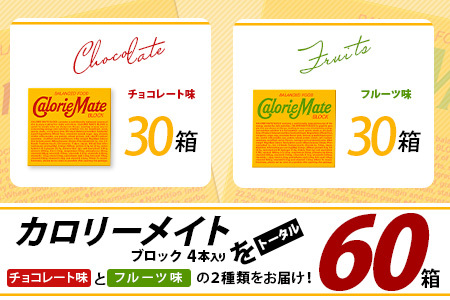 【大塚製薬】カロリーメイト ブロック 4本入り チョコレート味30箱＋フルーツ味30箱［徳島 那賀 カロリーメイト チョコ フルーツ ビタミン ミネラル たんぱく質 脂質 糖質 5大栄養素 バランス栄養食 栄養補給 仕事 勉強 スポーツ 防災 災害 地震 非常食 常備食 備蓄 受験 受験応援 新生活 大塚製薬］【MS-4-5】