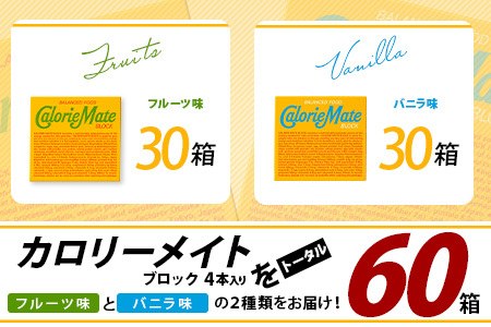 【大塚製薬】カロリーメイト ブロック 4本入り フルーツ味30箱＋バニラ味30箱［徳島 那賀 カロリーメイト フルーツ バニラ ビタミン ミネラル たんぱく質 脂質 糖質 5大栄養素 バランス栄養食 栄養補給 仕事 勉強 スポーツ 防災 災害 地震 非常食 常備食 備蓄 受験 受験応援 新生活 大塚製薬］【MS-4-8】