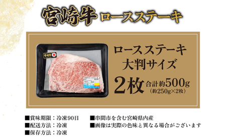 宮崎牛ロースステーキセット 計500g （250g×2）_K030-002