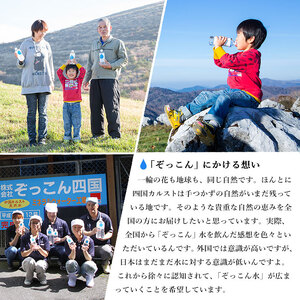 四国カルスト天然水ぞっこん 定期便（毎月6L×4本 1年間）レンタルウォーターサーバー付 NZS0014