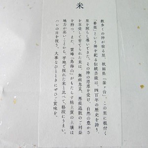 【新米先行予約 11月以降順次発送予定】《定期便 3か月》4kg（2kg×2袋）×3ヶ月 秋田県産 あきたこまち 玄米  神宿る里の米「ひの米」【令和8年度産 玄米 秋田 にかほ】
