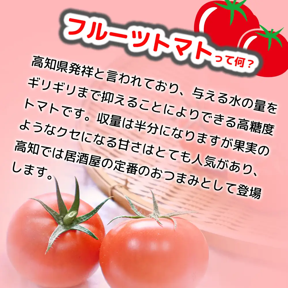 まっことうまい！水田さんのフルーツトマト【約1kg / 化粧箱入】