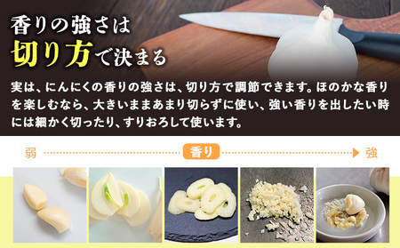 にんにく製品詰め合わせセット ロイヤルリノベーション株式会社 《90日以内に出荷予定(土日祝除く)》 和歌山県 紀の川市