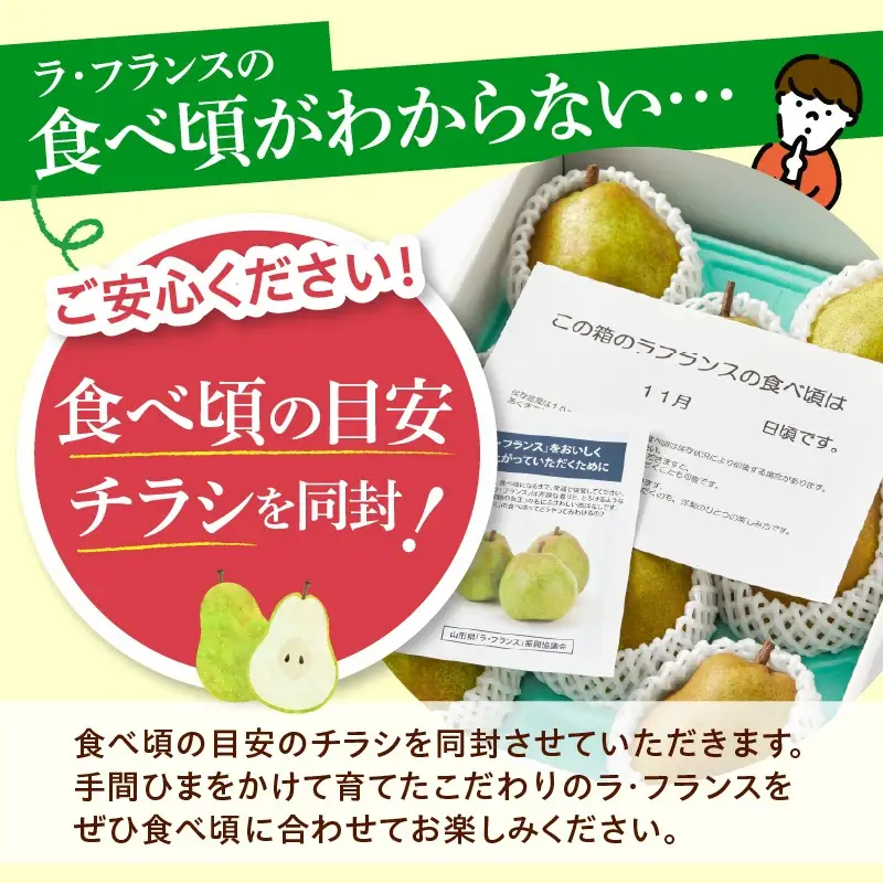 西洋梨（ラ・フランス）３ｋｇ　ご家庭用　0052-2605