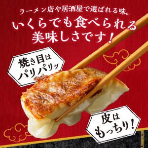 富士山北麓 餃子 120個 ぎょうざ 冷凍 餃子 ギョーザ