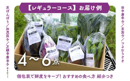 【6回定期便】旬の京野菜セット 野菜