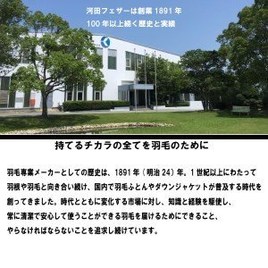 【河田フェザー使用】 ソフトでまぁ～るい 羽根クッション（JWC-36）低反発 高反発 座布団 クッション 羽根 日本製 おしゃれ kawada 河田フェザー 正規品 癒し やすらぎ 高級 カラー おまかせ サークル 円 丸 まる