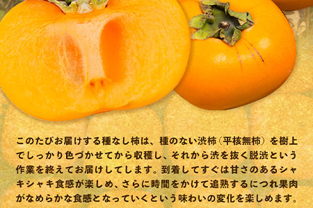 【訳あり】まーくん家のたねなし柿 約5kg かき 種なし きただ農園まーくん家 《2026年9月下旬-10月末頃出荷》 和歌山県 紀の川市