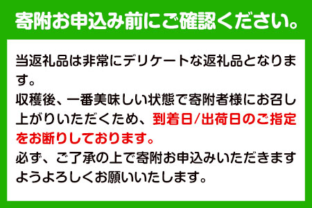 観音山熟れ熟れ桃（川中島白桃）4kg