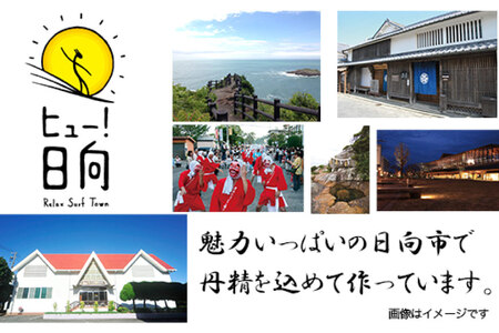 日本ハム 非常食 5年保存 防災食 ポークソーセージ ステーキ 110g×20個 [日本ハムマーケティング 宮崎県 日向市 452060936]