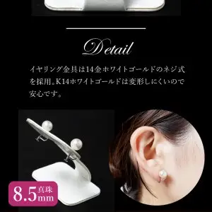 あこや本真珠イヤリング 真珠8.5mm 14Kホワイトゴールド R14113