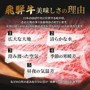 ふるさと納税　飛騨牛 牛肉 ステーキ サーロイン 180g×5枚 計900g A5 和牛 