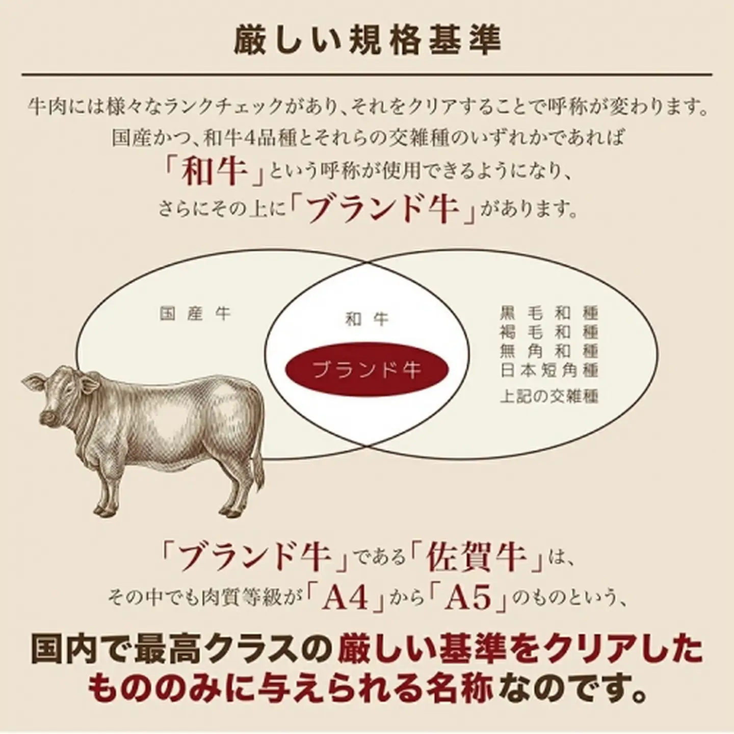 佐賀牛ヒレ肉 200g×2：B520-001