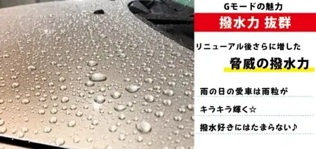 シャンプー&コーティング剤「Gモード」1,000ｍｌ＆250mlセット R14133