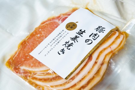 豚肉 生姜焼き 味噌漬け セット 10パック 約2.1kg 新潟県産 三条市 冷凍