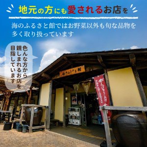 野菜【旬のお野菜大満足セット】道の駅松浦海のふるさと館【A8-040】