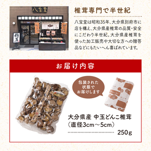 大分県産中玉どんこ椎茸250g 原木栽培 干し椎茸 訳あり 肉厚_B063-002