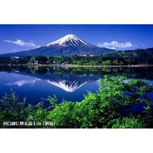 【富士河口湖町】JTBふるさと旅行券（450,000円分）有効期間5年 | 予約 宿泊 観光 体験 温泉 ホテル 旅館 チケット 子供 子連れ カップル 家族 店頭 電話 河口湖