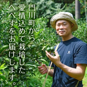 ＜先行予約受付中！2026年9月中に発送予定＞へべすとへべすが香る一味とうがらしのセット(合計2種・へべす青果約2kg、へべすが香る一味とうがらし15g)柑橘 果汁 国産 調味料 唐辛子 特産品 詰め合わせ 詰合せ 宮崎県 門川町【T-4】【熊野農園】