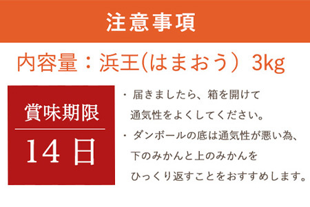『先行予約』【令和9年1月下旬発送】浜王(はまおう) ハウス栽培 唐津産 3kg 口之津(くちのつ) 39号みかん フルーツ 果物 柑橘 かんきつ