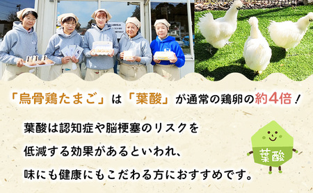 卵 定期便 12ヶ月 烏骨鶏 たまご 20個 高級卵 烏骨鶏の卵 健康 卵かけご飯 定期 12回