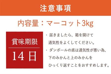 『先行予約』【令和9年2月中旬発送】マーコット(ハウス栽培) 唐津産 3kg みかん ミカン 果物 フルーツ
