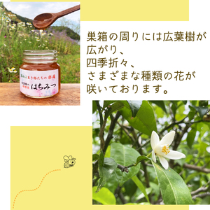 天然百花蜂蜜 1.2kg ハチミツ はちみつ honey