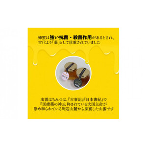 【定期便3回】こだわりの山蜜　出雲はちみつ3個セット