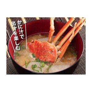 鳥取県産 活親がに 大(訳あり)【中村商店】