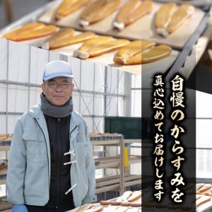 からすみドライパウダー(25g)沖ボラ 魚卵  国産  珍味【B-9】【合同会社 SA・Te黒潮】