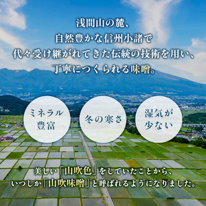 味噌 山吹味噌 こがね 3kg （1kg×3袋） セット 信州味噌 みそ ミソ 熟成 信州 信州みそ 調味料 小分け 長野県 長野 