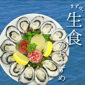 あまべ牡蠣 40個 牡蠣 シングルシード 生食用 殻付き かき カキ オイスター 生ガキ 生牡蠣 生がき 生かき ギフト 貝 旨味 