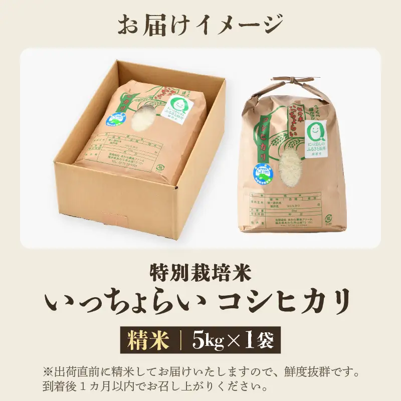 【先行予約】【令和8年産・新米】【一等米】特別栽培米 いっちょらい 精米 5kg ／福井県産 ブランド米 コシヒカリ ご飯 白米 新鮮 大賞 受賞 ※2026年10月上旬以降順次発送予定 [aw012-a032]