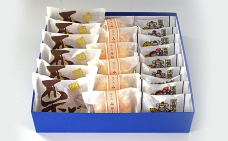 菓子詰合せ（21個入り）W-300