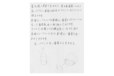 E-16 美星町産ワイン　赤・白ワインセット　嘉作