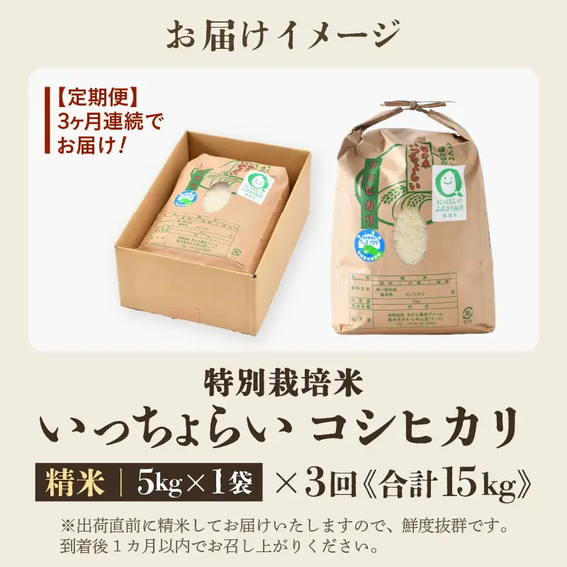 【先行予約】【令和8年産・新米】【一等米】《定期便3回》特別栽培米 いっちょらい 精米 5kg × 3回（計15kg）／ 福井県産 ブランド米 コシヒカリ ご飯 白米 新鮮 大賞 受賞 ※2026年10月上旬以降順次発送予定 [aw012-c011]