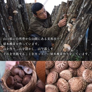 食感も香りもおいしい 乾燥椎茸 袋(小) 中葉(50g入り)×3袋セット