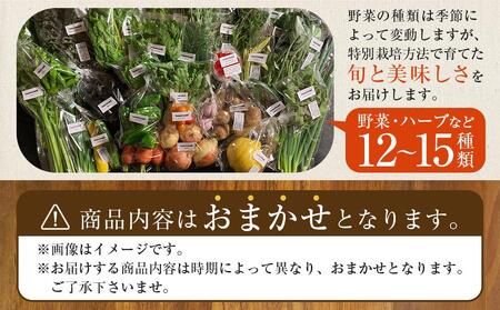 特別栽培 旬の採れたて 12～15種類お野菜詰め合わせセット TAGATAME タガタメ【野菜 特別栽培 大容量 有機野菜 農薬不使用 無農薬】
