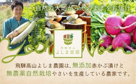 【先行予約】3回定期便　3か月定期便【野菜定期便 7～11月】 朝採れ 野菜セット 5～8種 | 自然栽培 おまかせ トマト ナス キュウリ ゴーヤ オクラ ネギ ししとう 冬瓜 ジャガイモ 玉ねぎ 飛騨高山 よしま農園 CK100