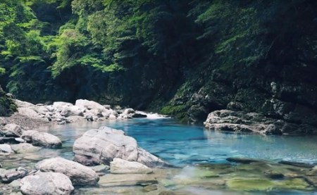 高級トイレットペーパー・ペーパームーン【緑＆ピンク / ダブル / 8ロール】