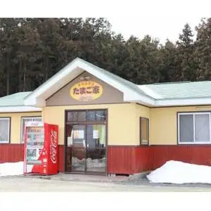 【卵 定期便3か月】純国産鶏「もみじ」平飼い卵 30個×３回  (AJ024) 