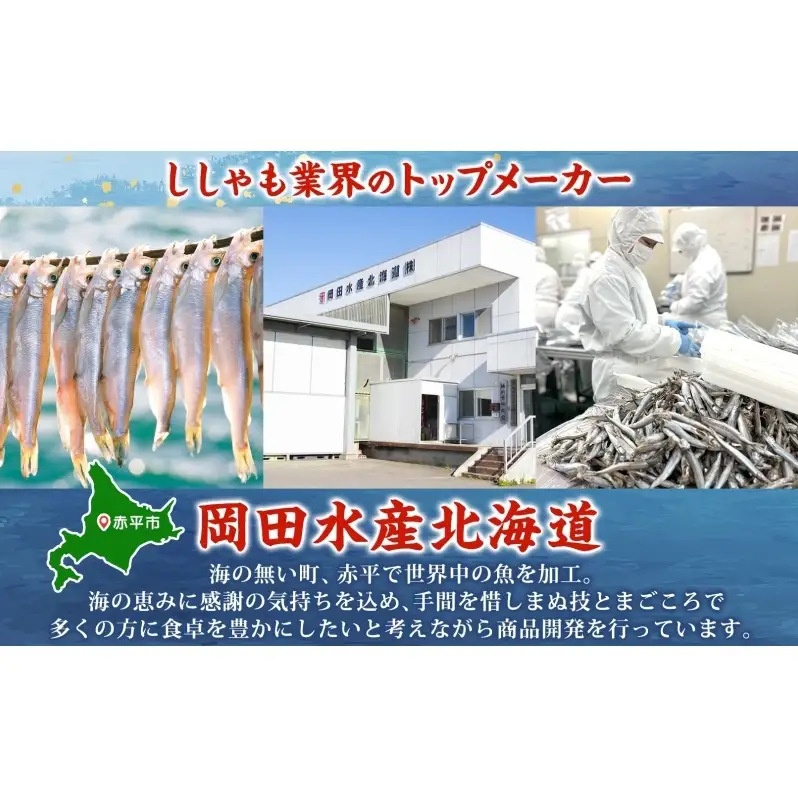 ソフトタイプ鮭とば「北海道産 鮭燻ソフト」500g 加工食品 魚貝類 サーモン おつまみ 