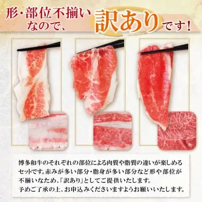 Y61-46 【訳あり】博多和牛 切り落とし1㎏ 牛肉