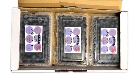 ブルーベリー1.2kg ( 400g × 3パック ) 【2026年6月から発送開始】[AK002sa]