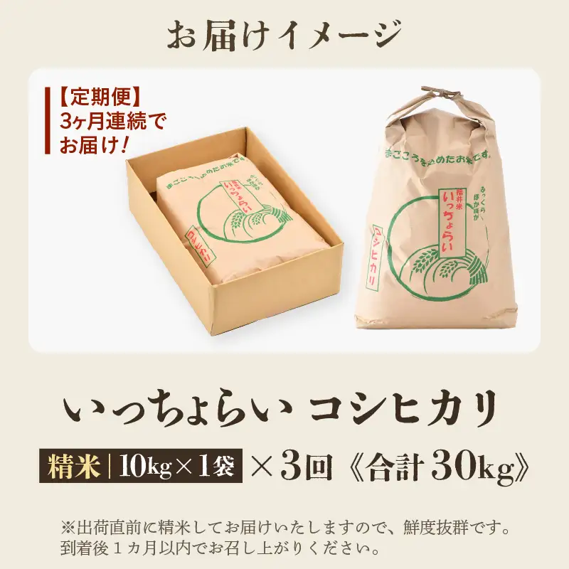 【先行予約】【令和8年産・新米】【一等米】《定期便3回》いっちょらい 精米 10kg × 3回（計30kg）／ 福井県産 ブランド米 コシヒカリ ご飯 白米 新鮮 大賞 受賞 新米 福井県あわら産 ※2026年10月上旬以降順次発送予定 [aw012-f013]