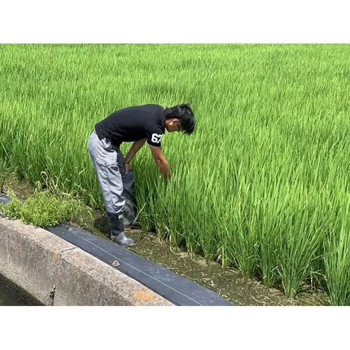 和歌山県のお米食べ比べセット合計１５キロ