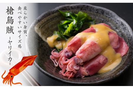 【ボイルヤリイカ】イカ 約１.５kg（300g × ５袋）（ 到着日時指定必須商品 ） MT-9