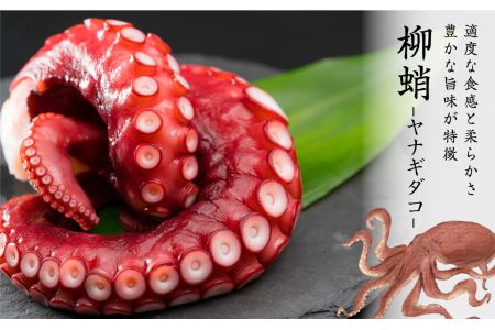 国産ヤナギダコ 約１kg たこ （250g × ４袋） 柳たこ  MT-10